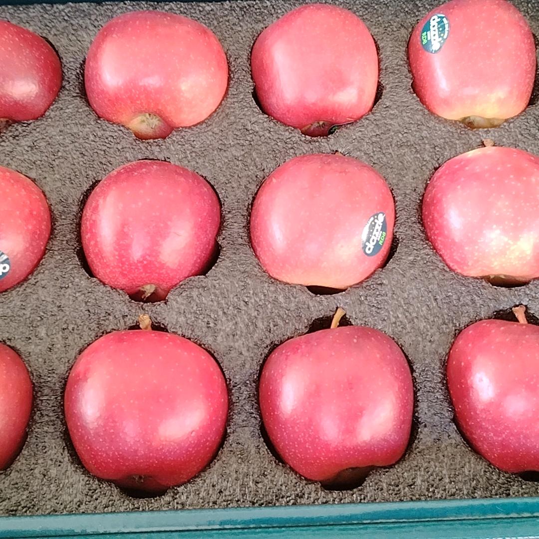 果骑士老汪果蔬