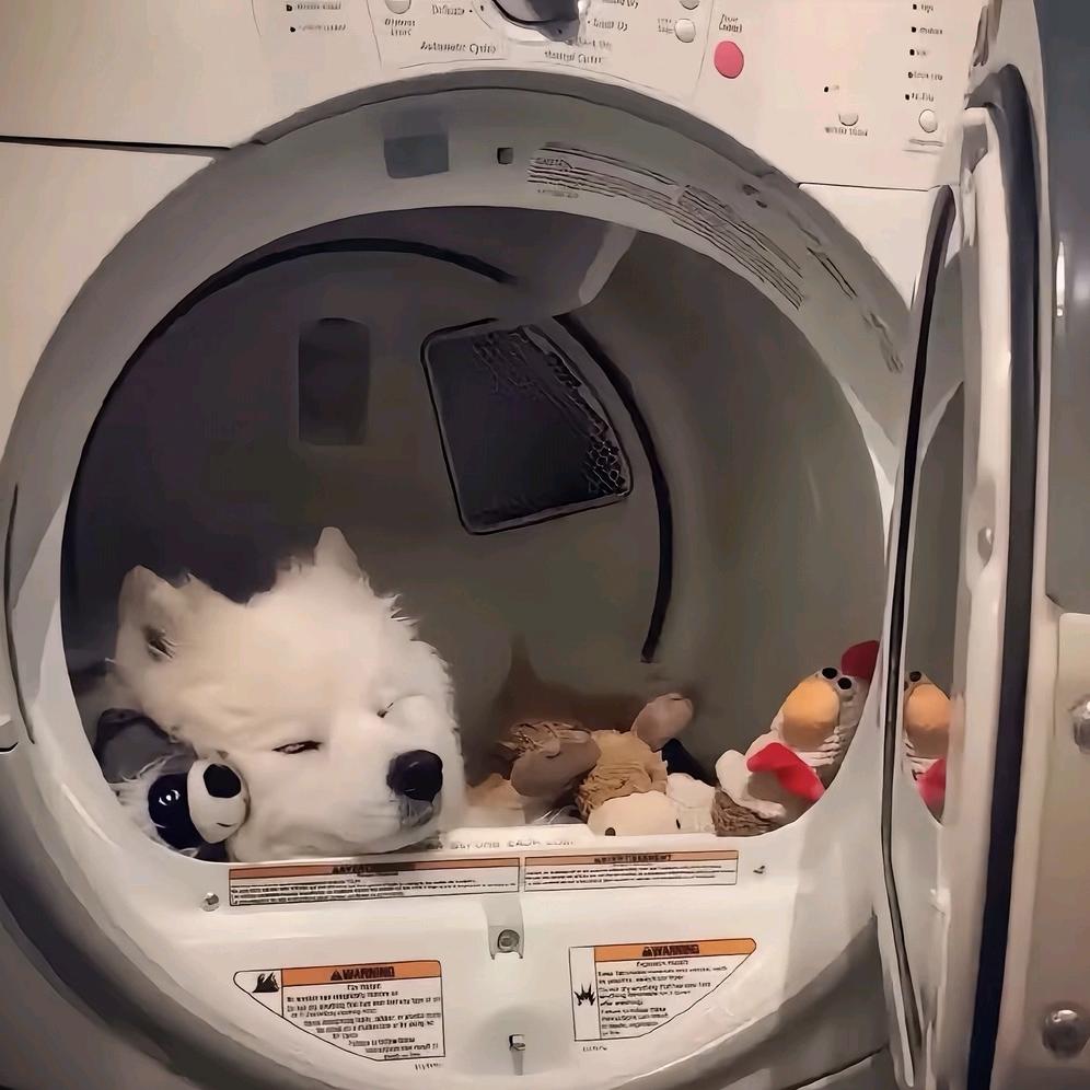 独孤孤独嘟咕噜嘟噜将军