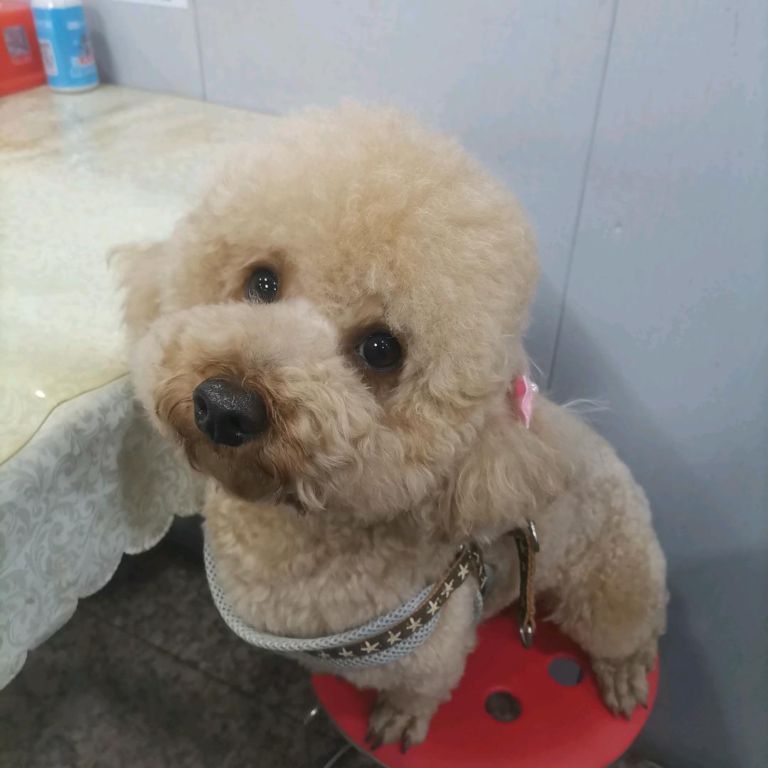 郑在说