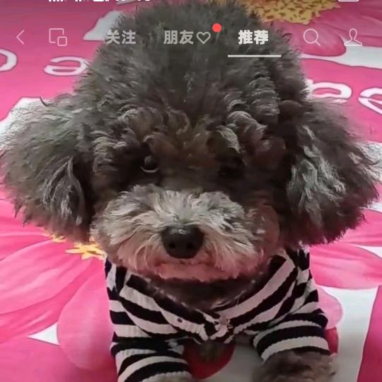 天上的云