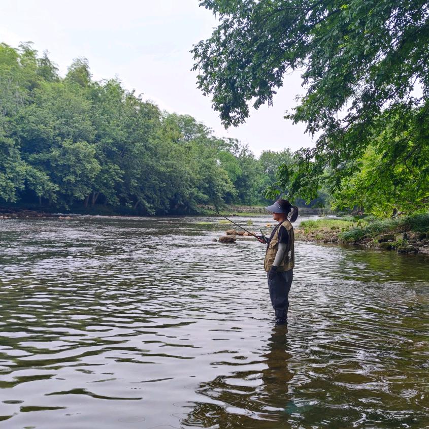 黄山小鲤鱼🎣