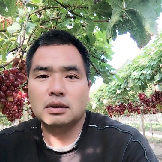 阿军（种葡萄的农村人）