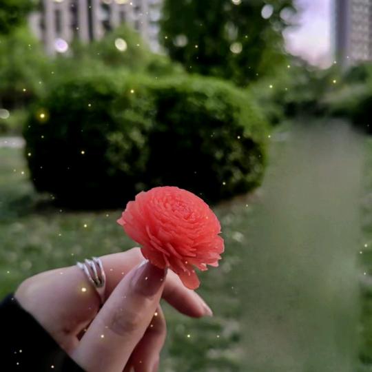 不叫燕艳