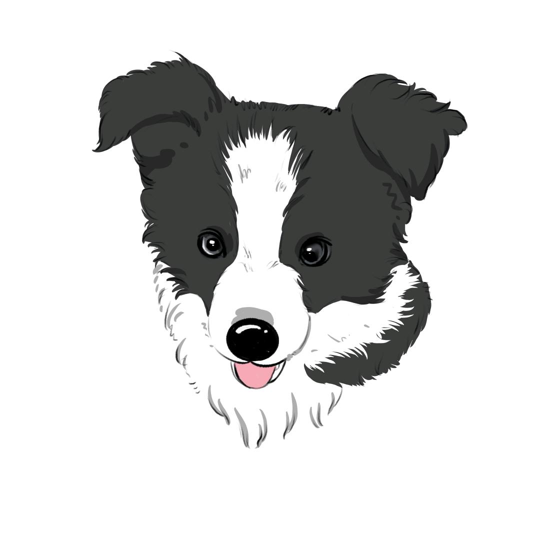 爱吃的五月🐶