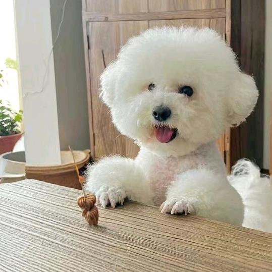 细雨停★彩虹显