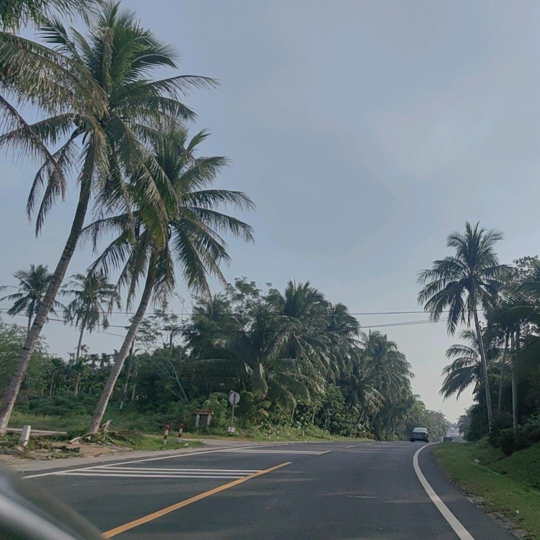 风一雨