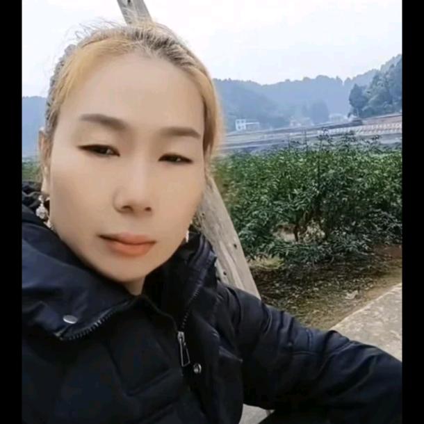 兔