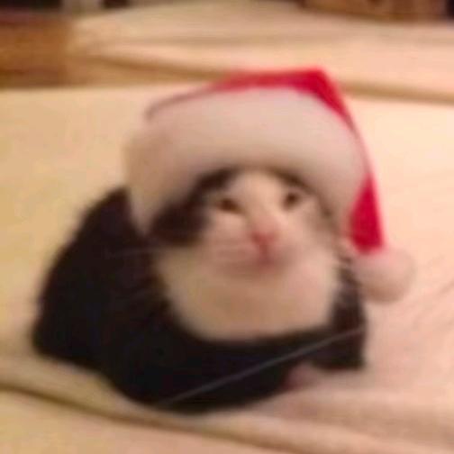 太过在乎别人的看法，就会变成别人的裤衩！