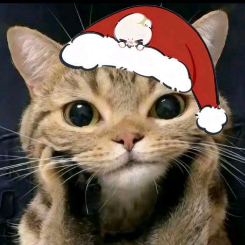 无敌旋风派大星