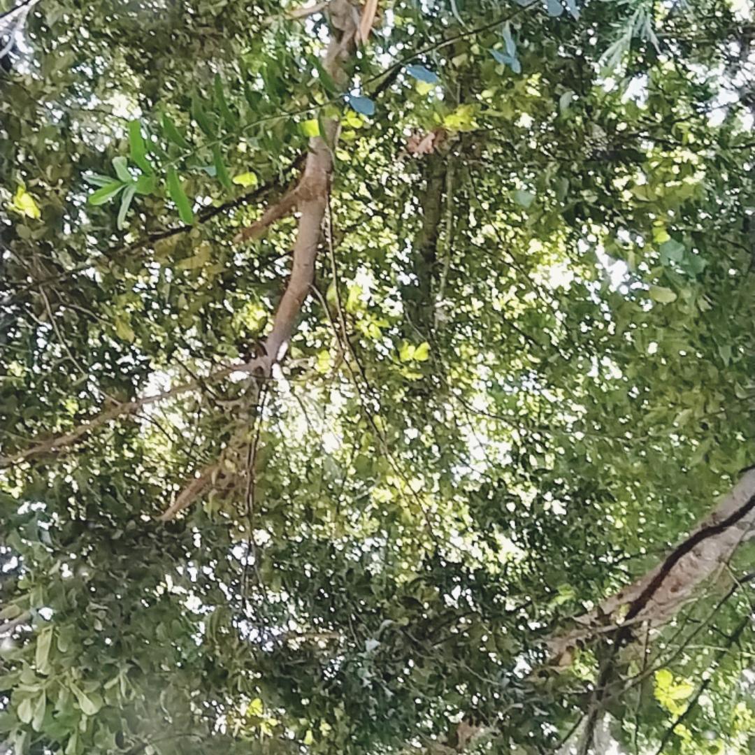 非