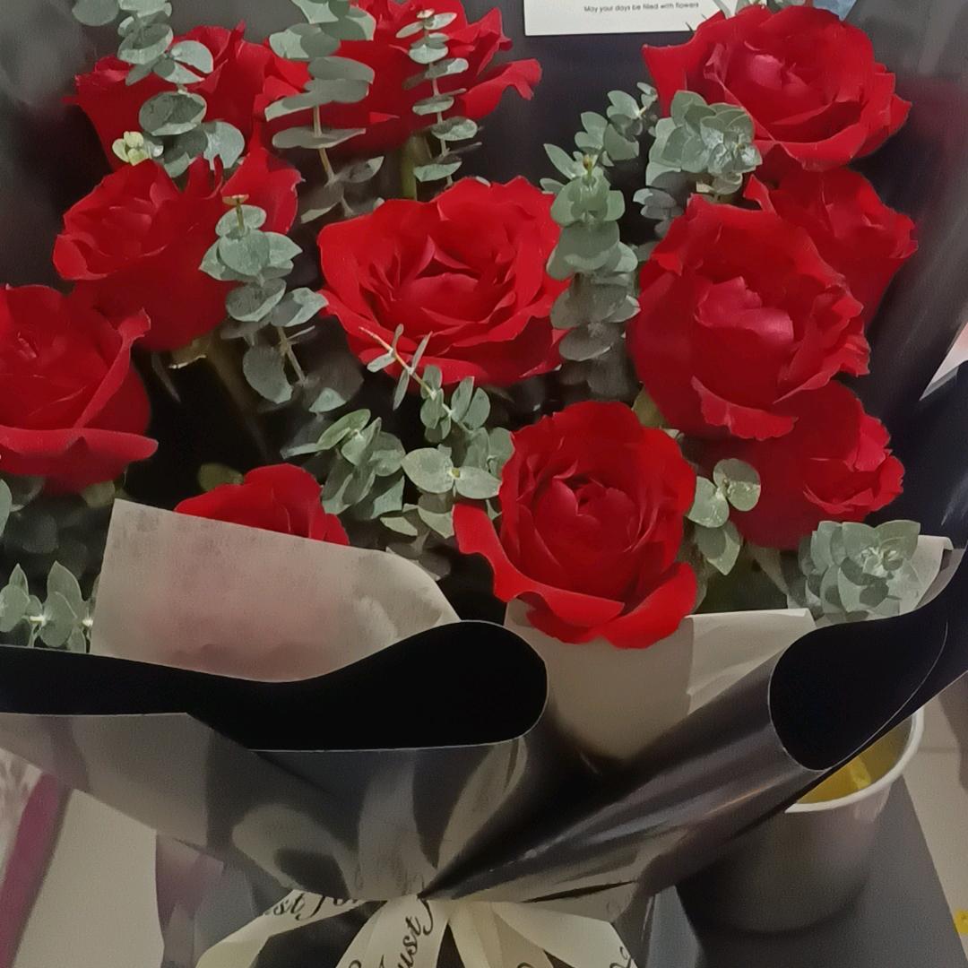 春天的梅花