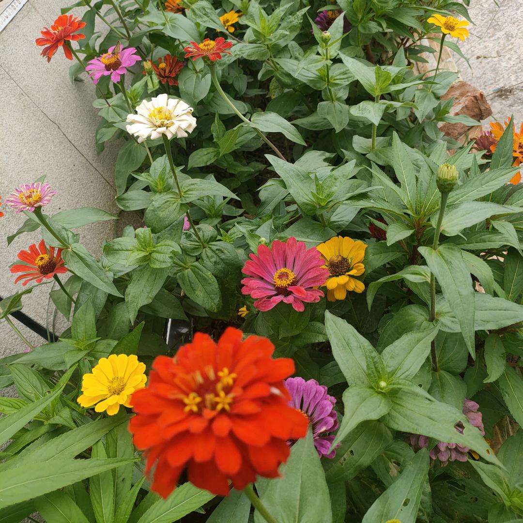 邓州市数控编程➕实操技术交流