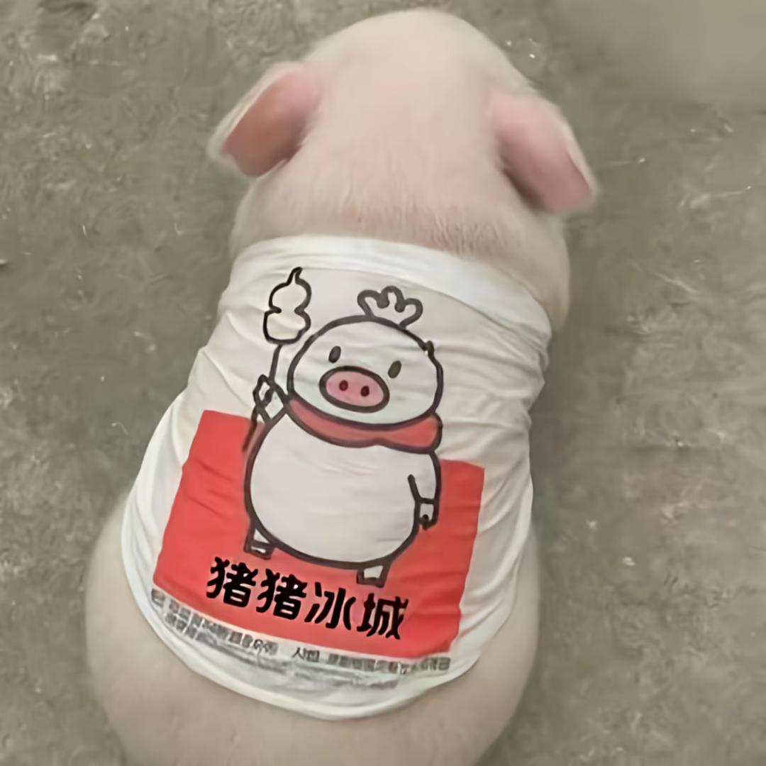 小雪