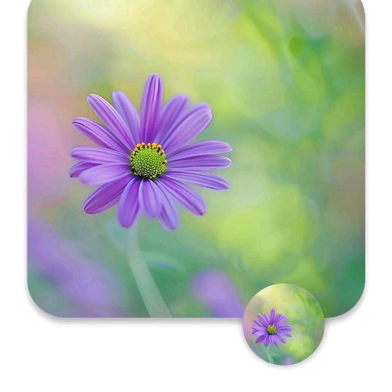 赛菲尔珠宝俊杰