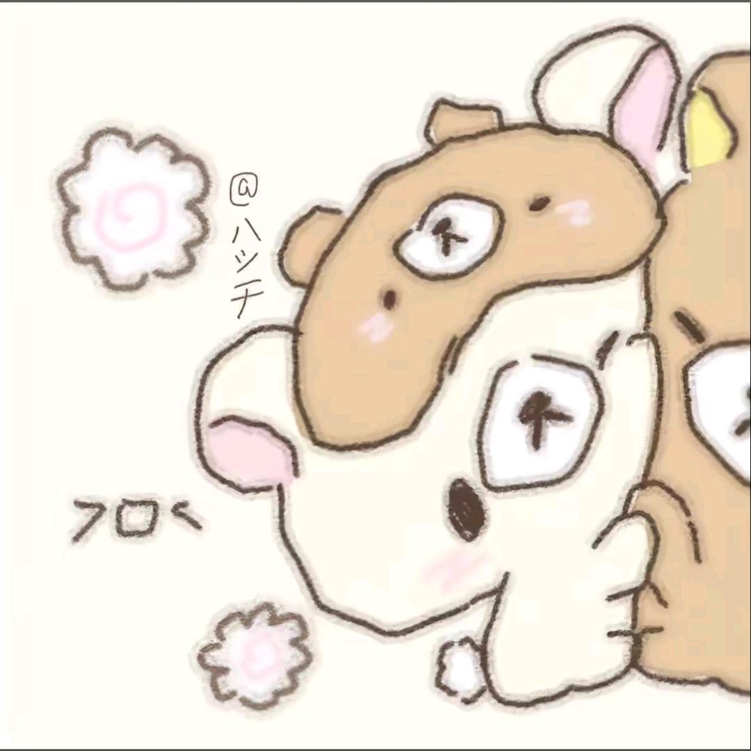唐泽雪穗