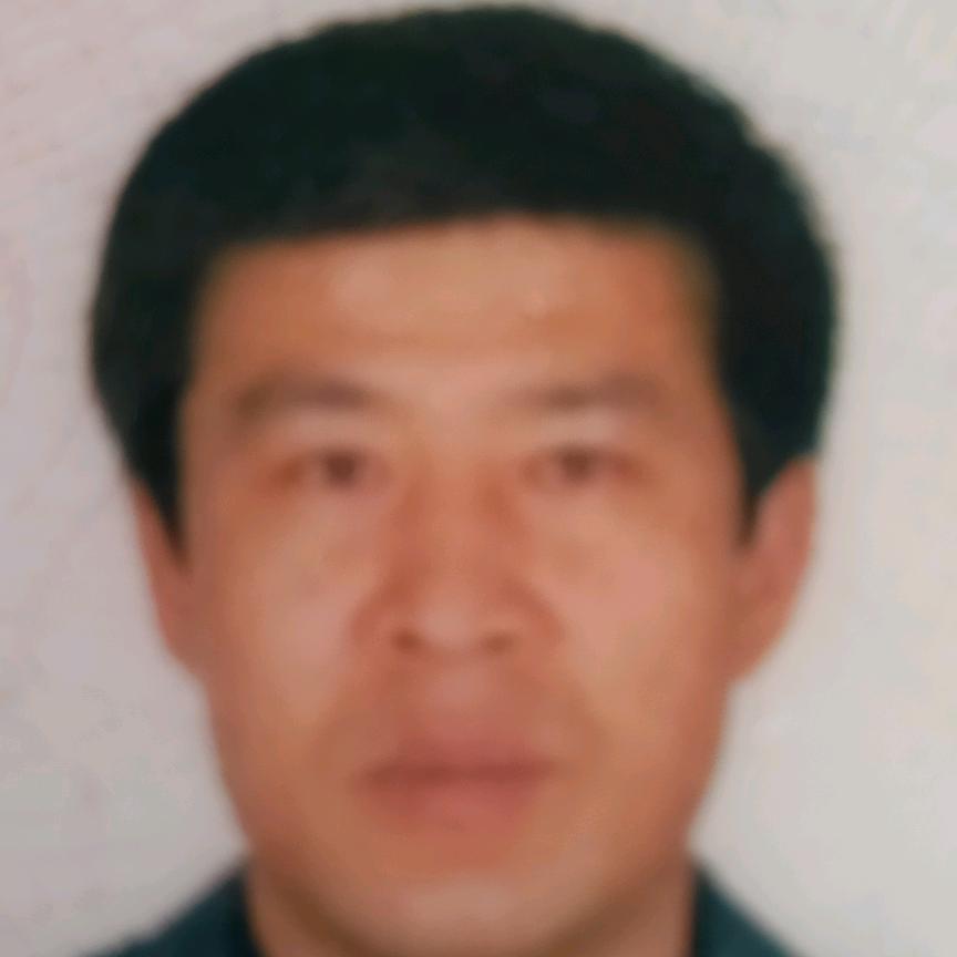 随风奔跑的两匹马