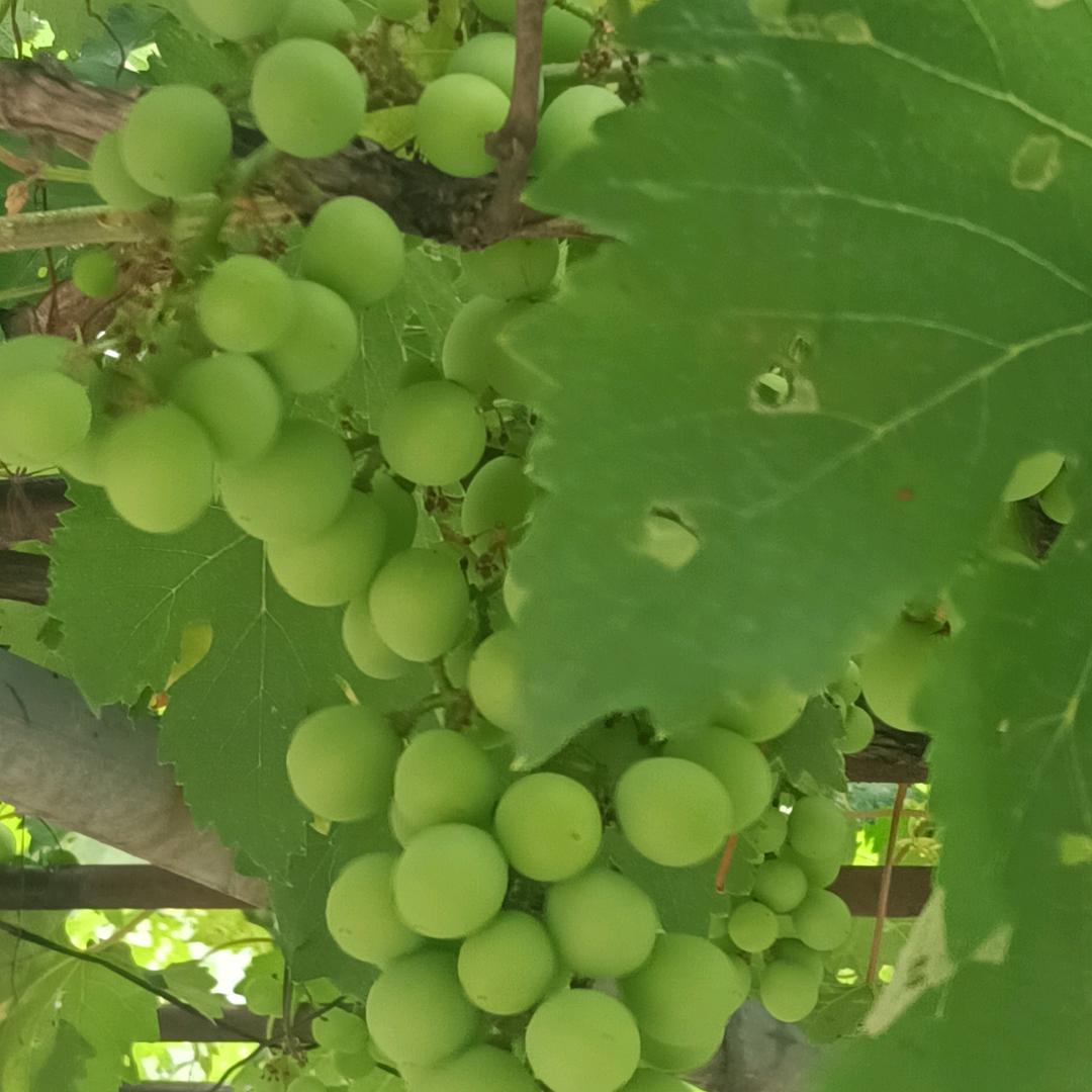 油盐酱醋