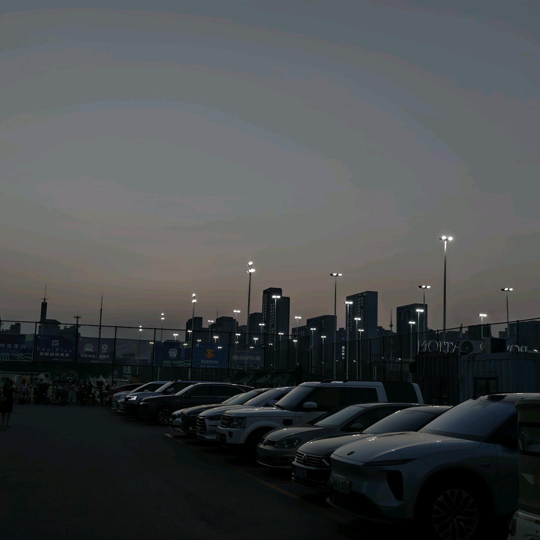 几只白