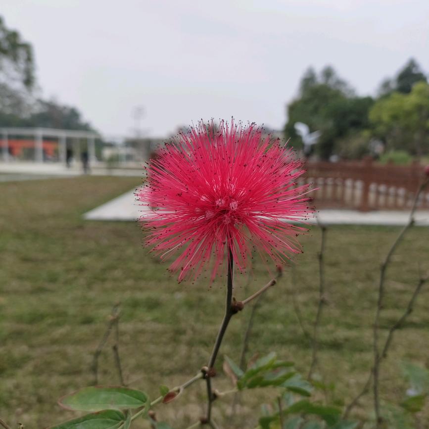 雨点