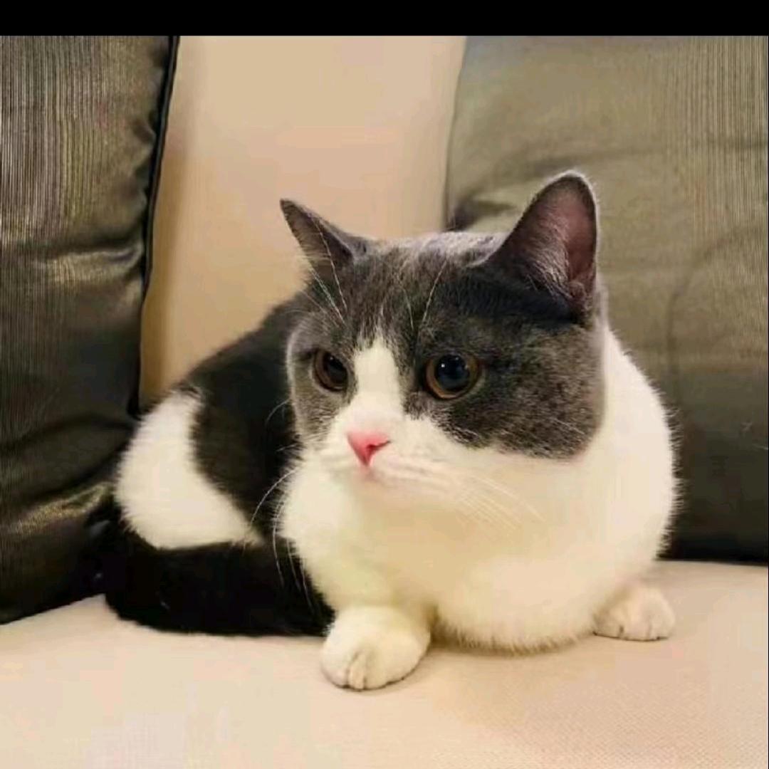 天天  开心的开