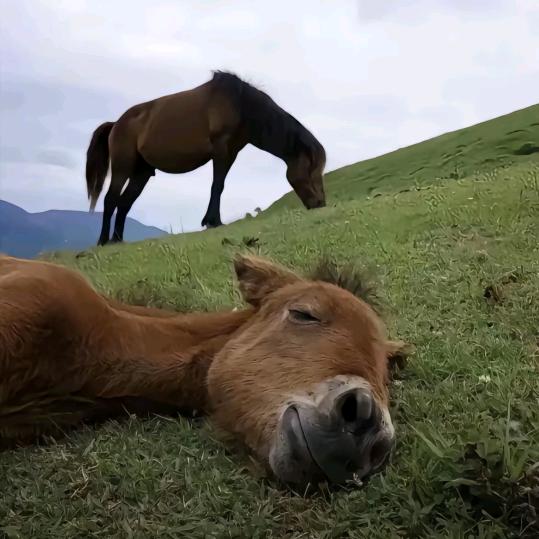 余生随心