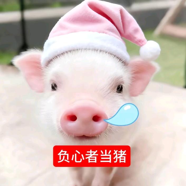 发现老公是gay连夜出走变成咸鱼精