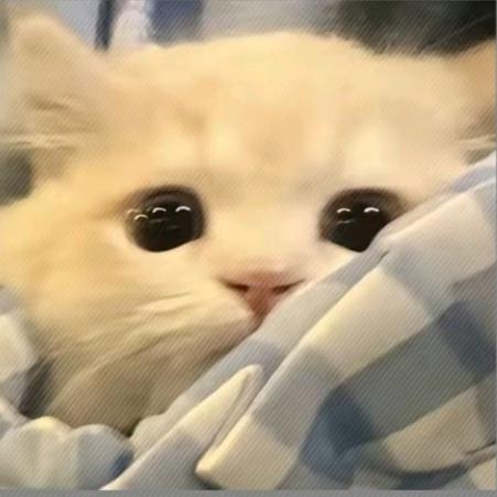 𝙈𝙞𝙧𝙖𝙘𝙡.
