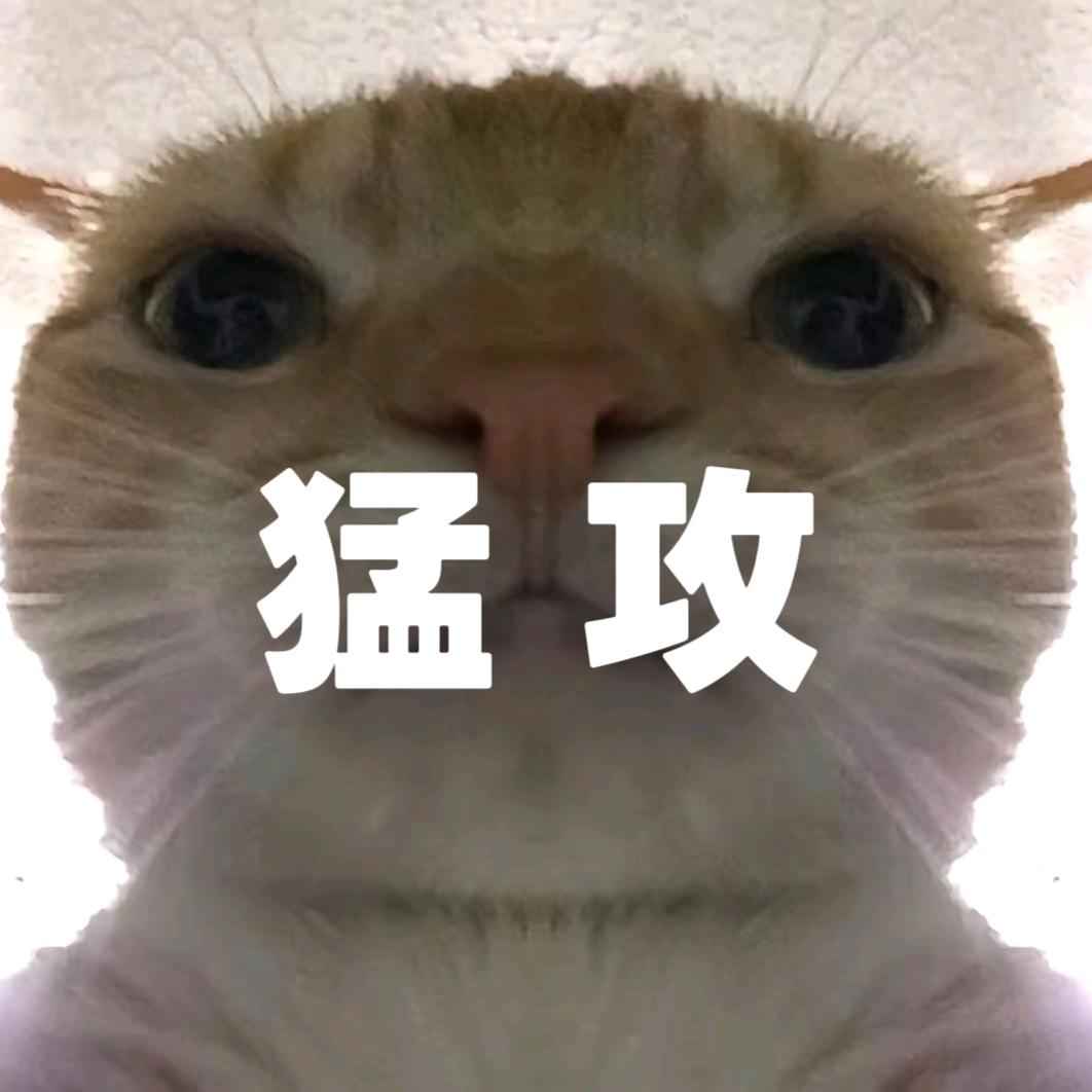 鼠鼠（三角洲）