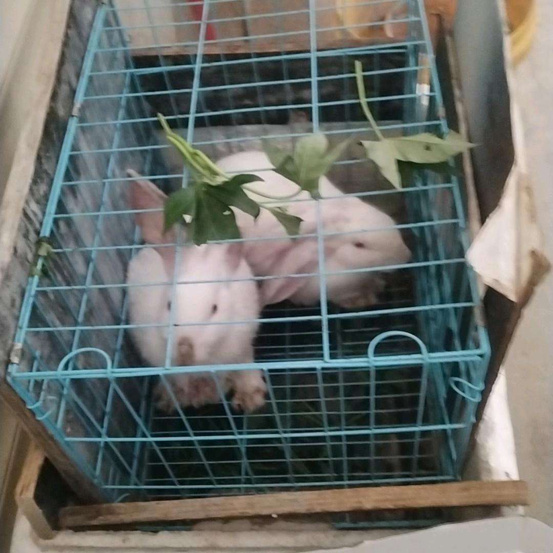 过眼烟云。。