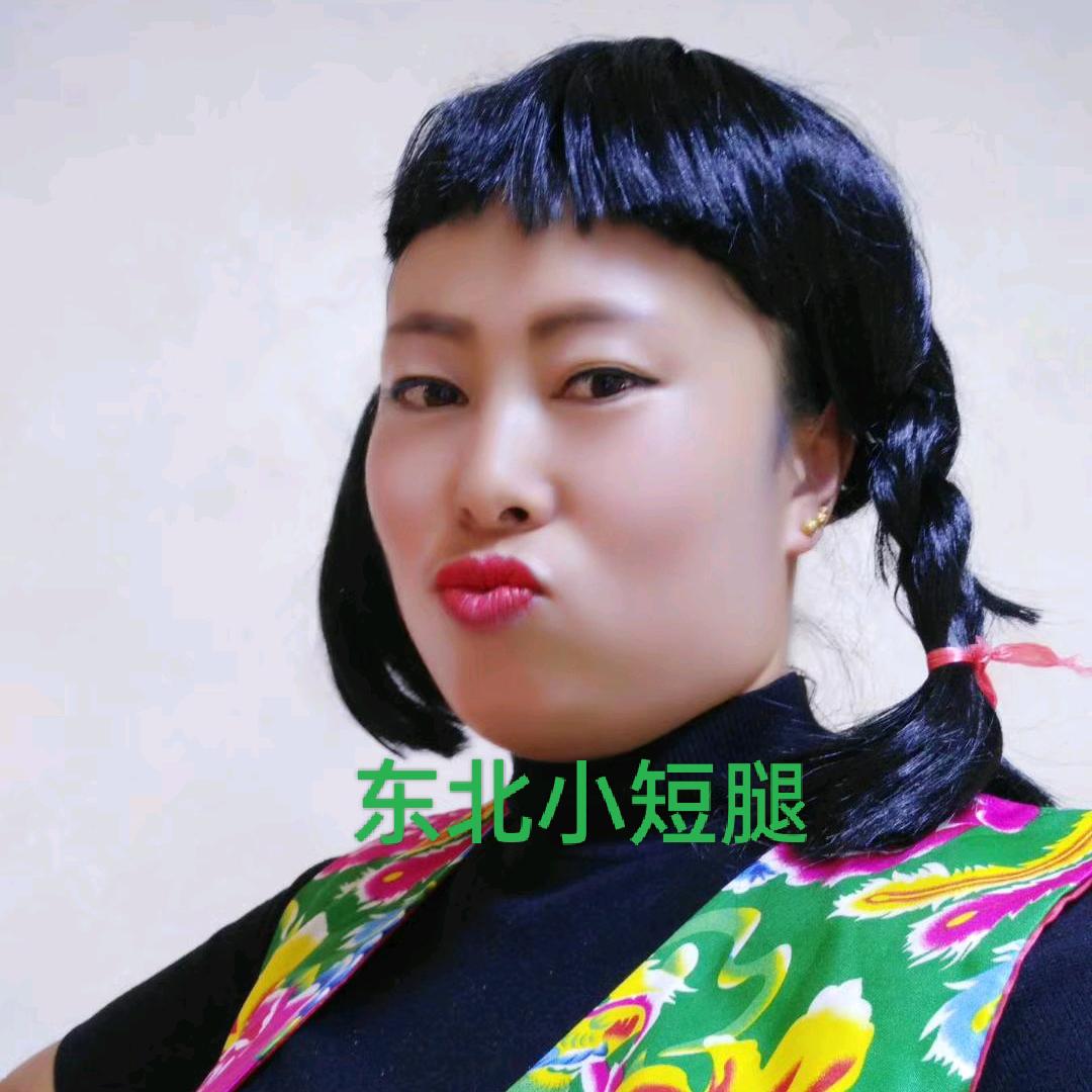 东北小短腿
