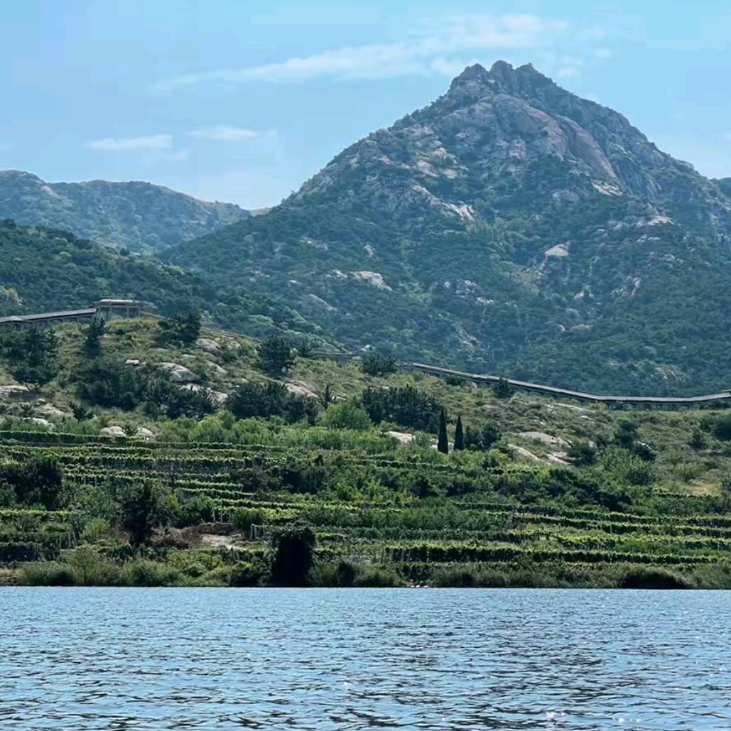 青山绿水