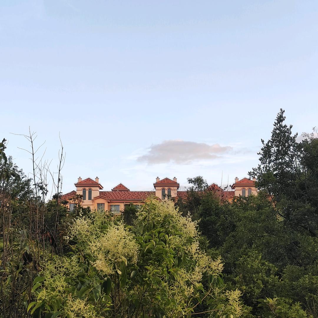 云南滋补山货供应