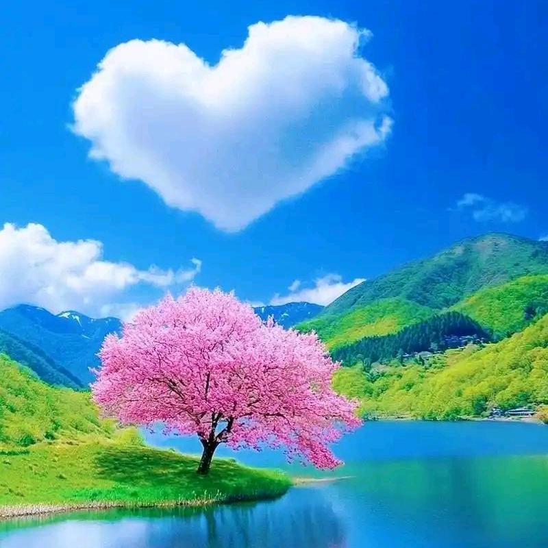 এ᭄爱发呆的小孩儿ഒᩚ