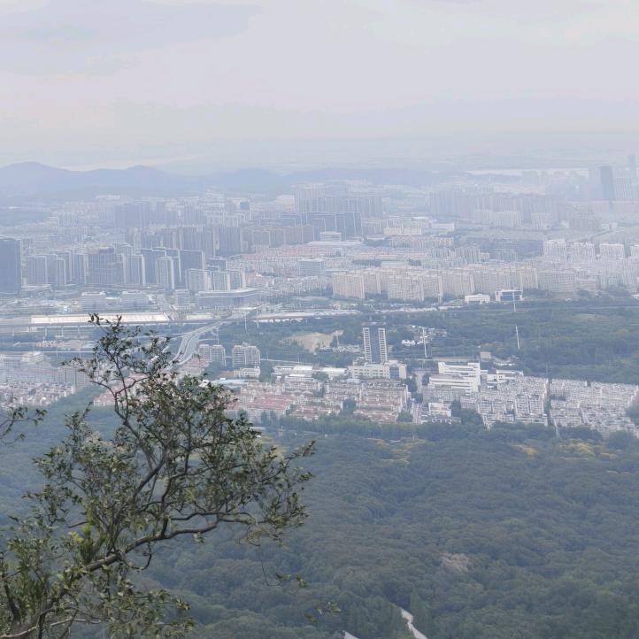 泱