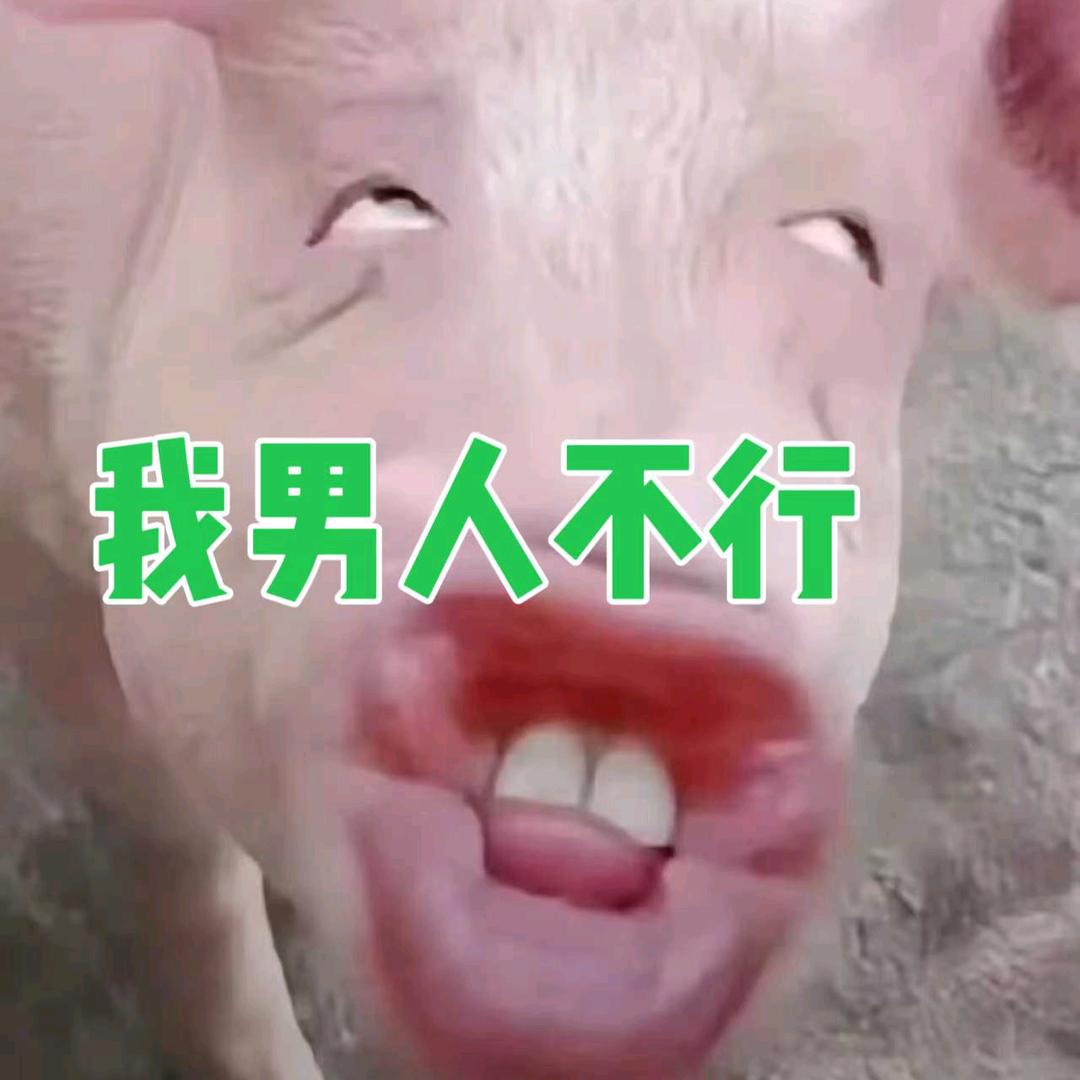 缇米💫