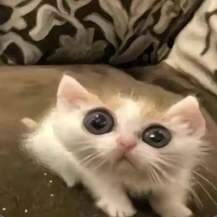 王瑜天