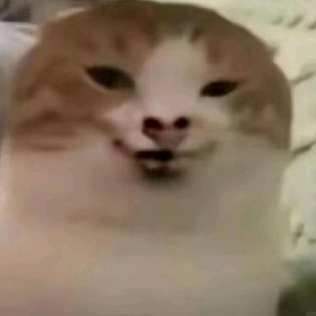 香咕咕咕咕咕