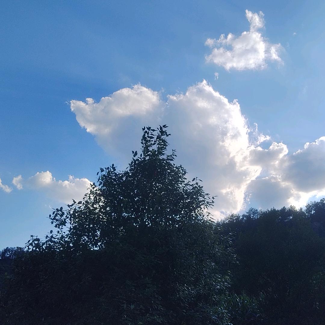 愿/生安好利店！便不就扰，