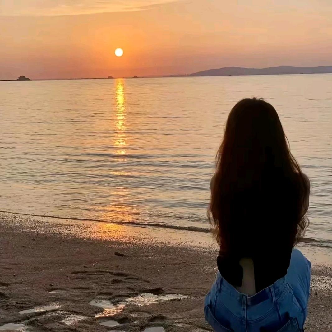 鲨鱼🐠