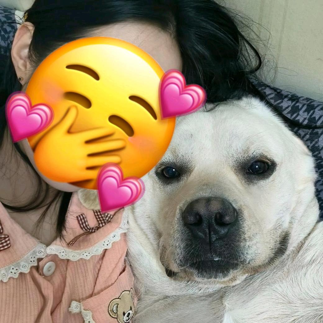 超级无敌活泼可爱温柔体贴美少女小公主🐻