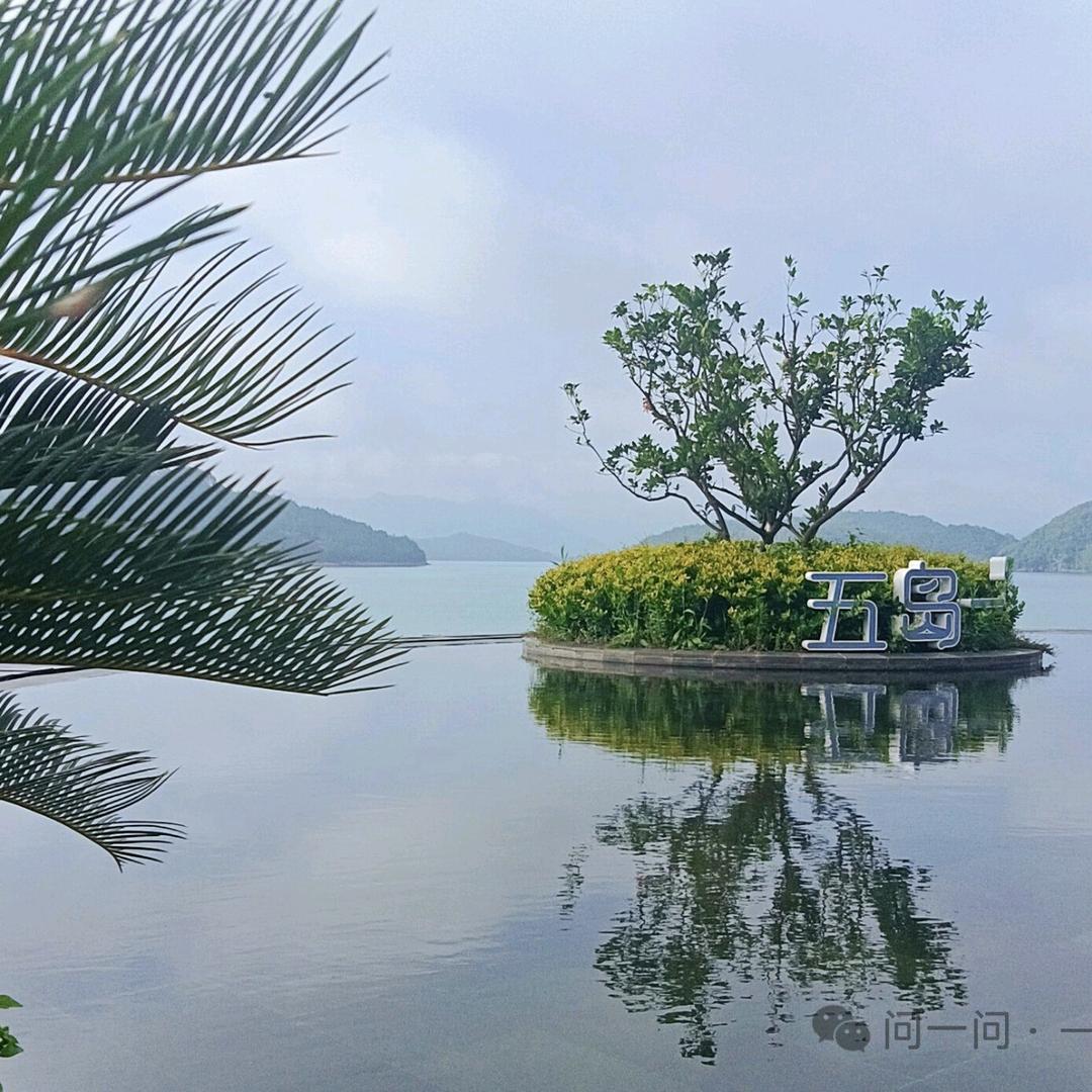 观海哥
