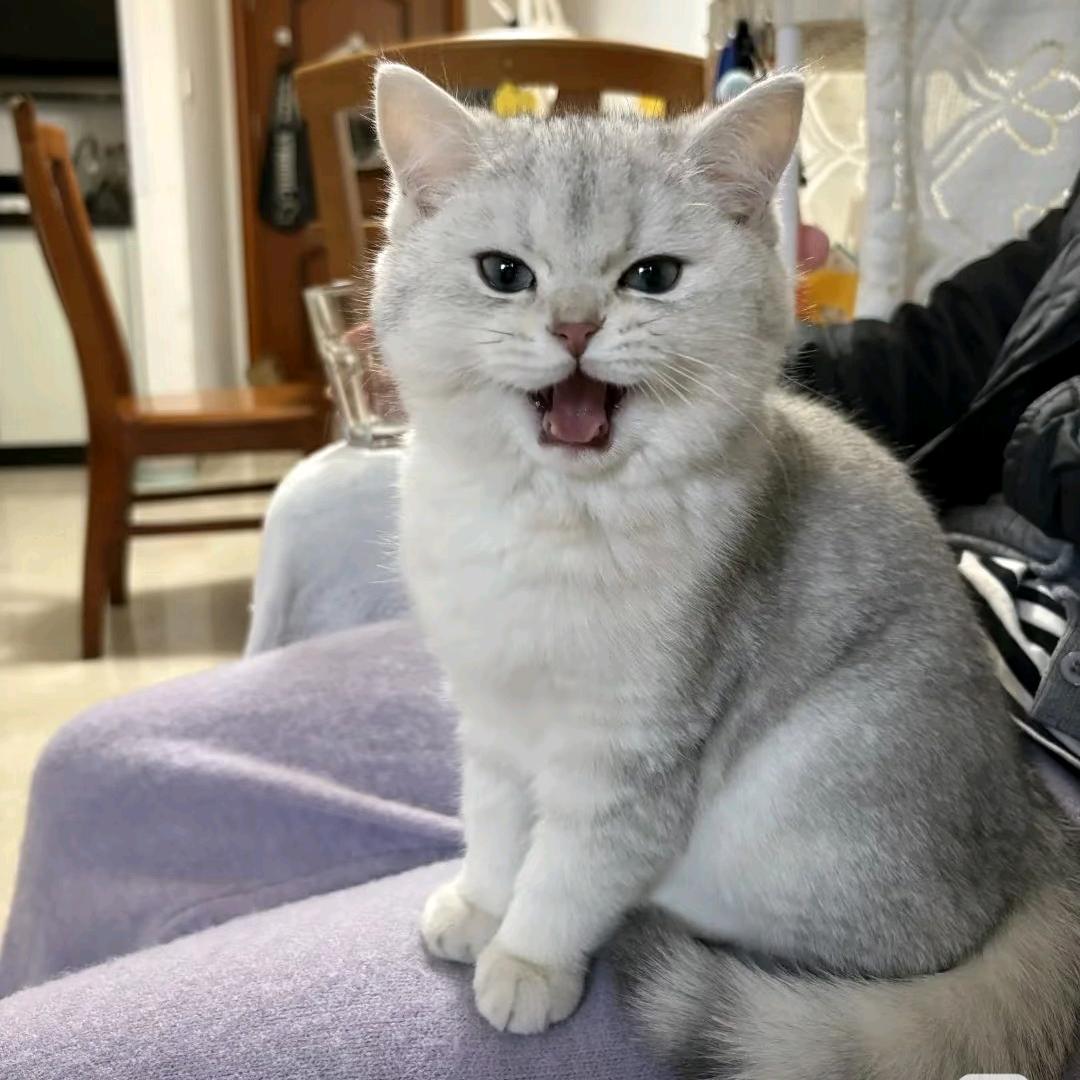 🧼黄油麻薯𓈒◌𓂂𓋜