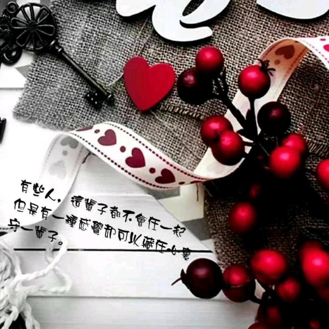 💞᭄ꦿ🕊欭ꕥ᭄🧚🏼惗ꦿ᭄💞