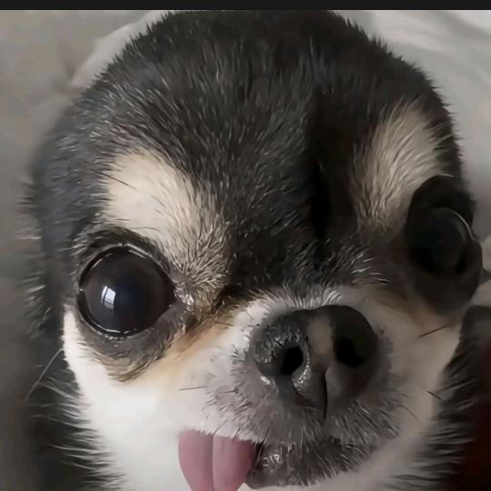 ð
