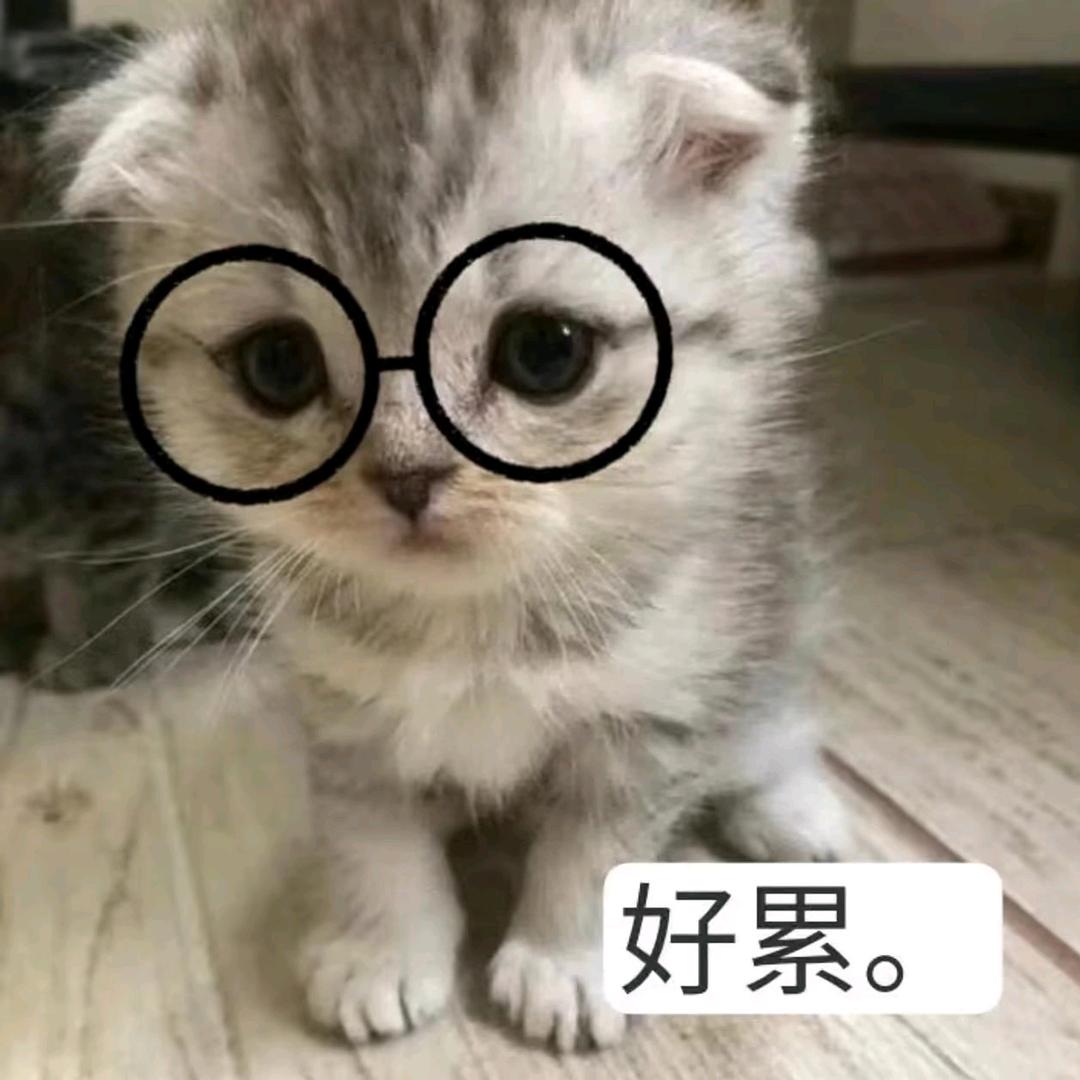 早睡^O^