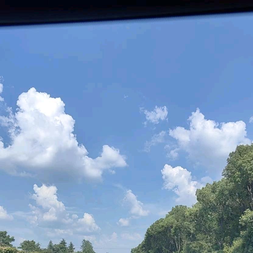 爱上石头的姐姐