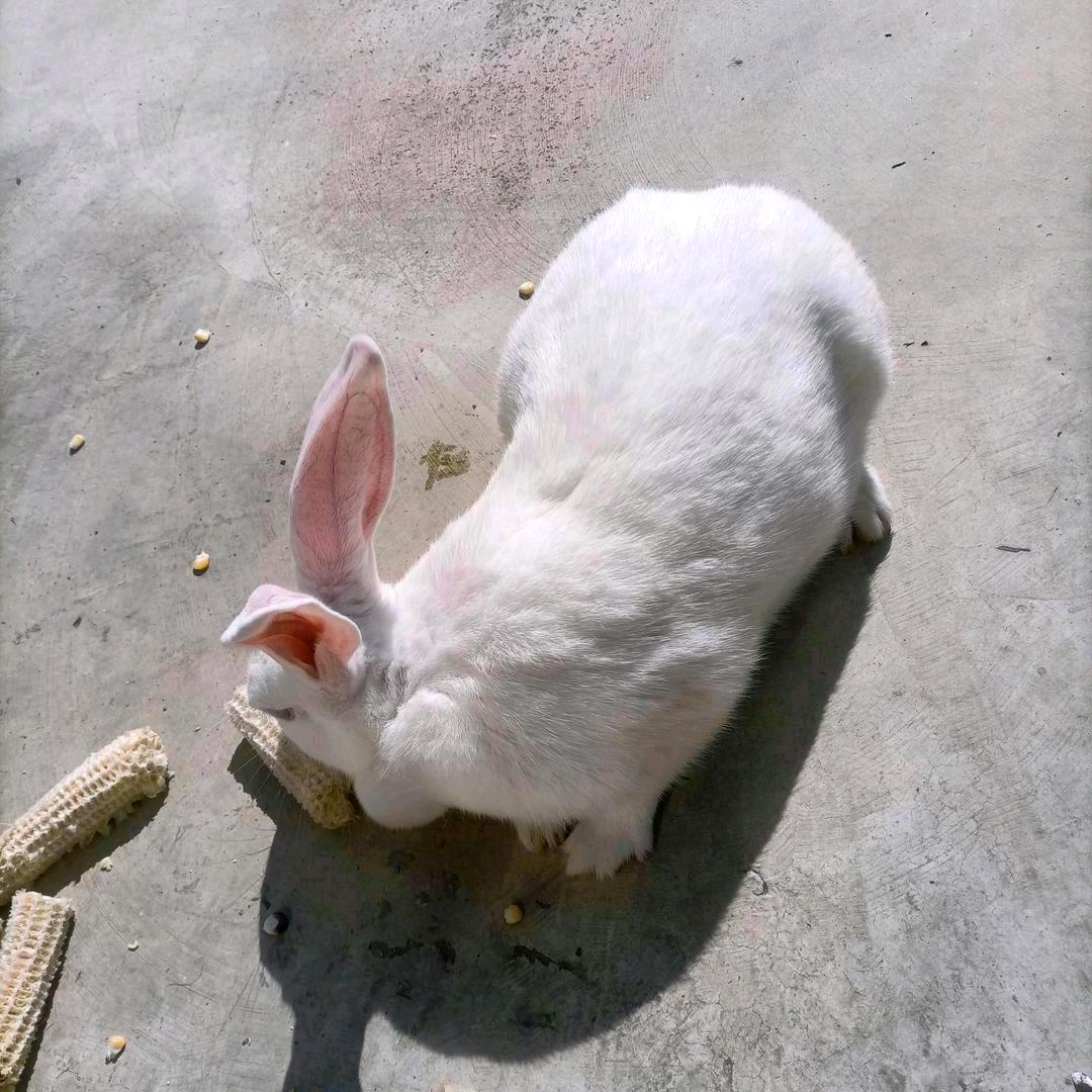 愛🌹🌹🌹💐💐🌻