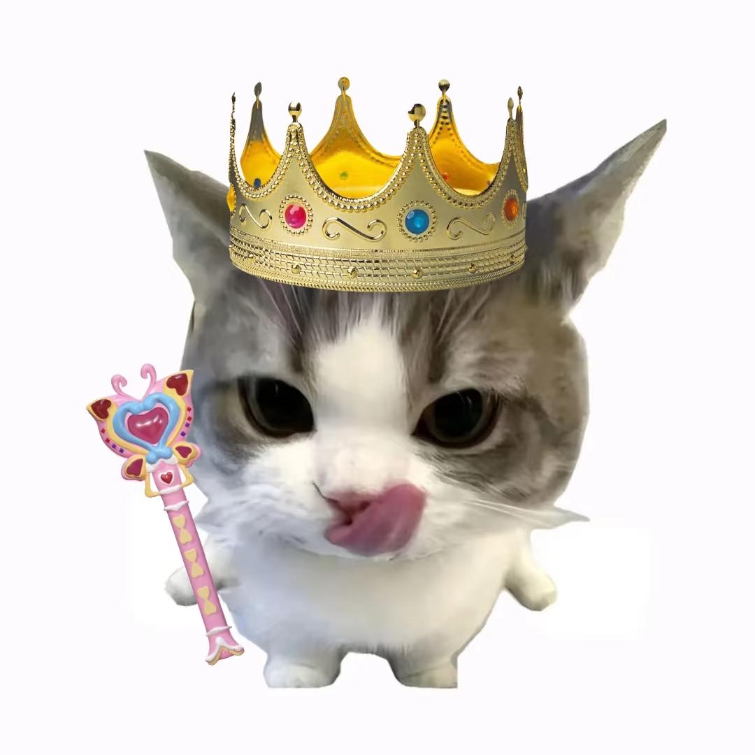 天气有点冷-TL（随心配版）