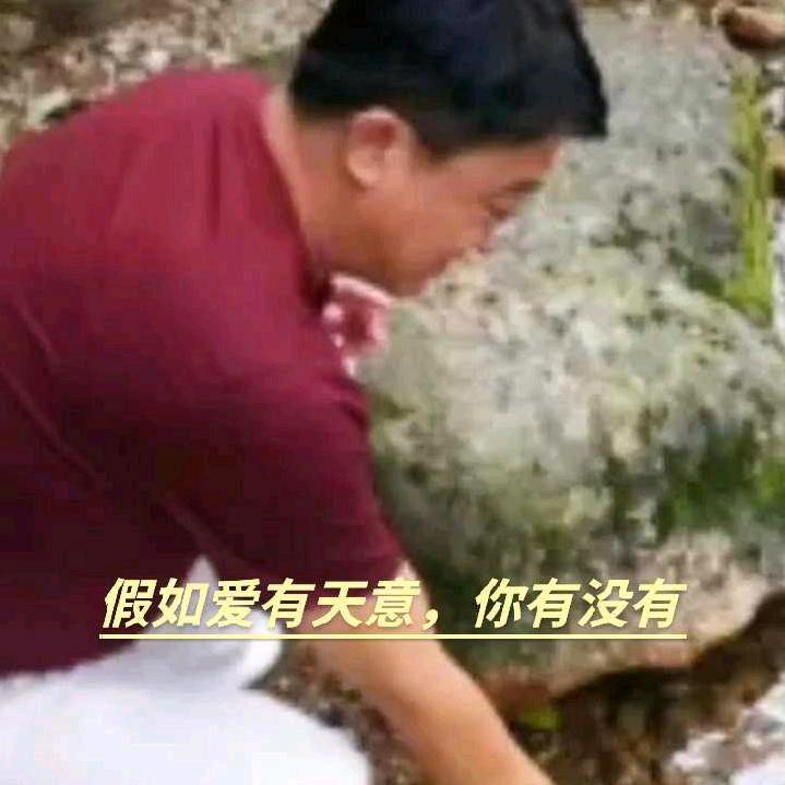 老海种植