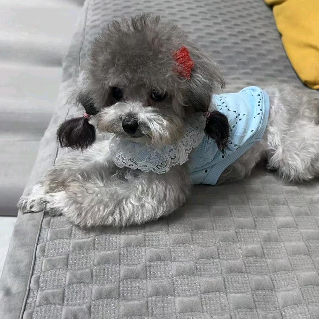 Fᴮᴳᶻᵂ
